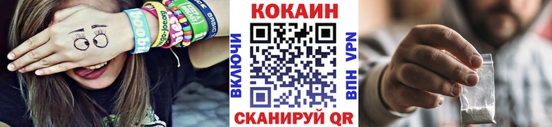 Кокаин FishScale  наркота  Каменногорск 