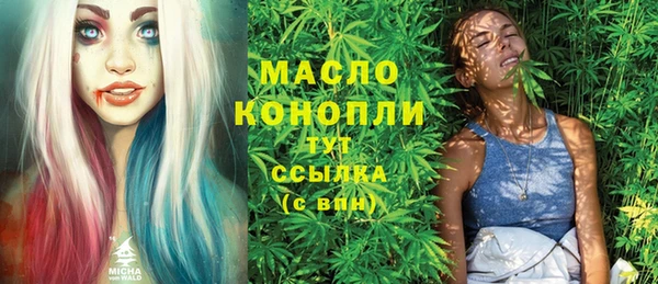 шишки Каменка
