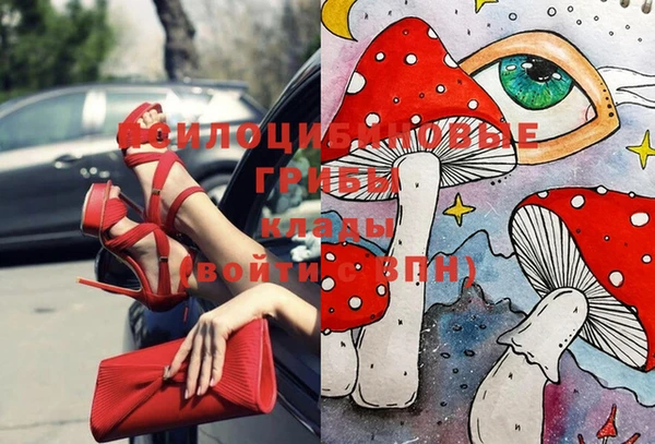 соль курить ск Гусиноозёрск