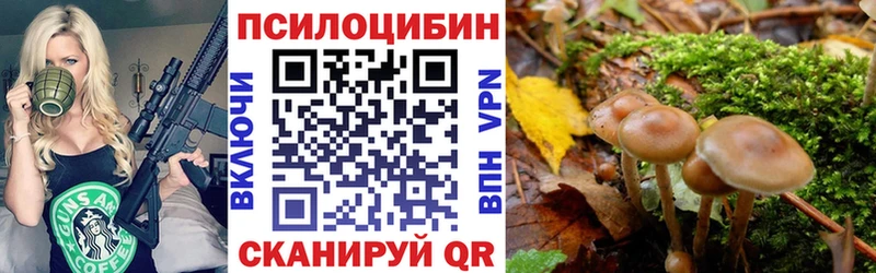 Галлюциногенные грибы прущие грибы Каменногорск
