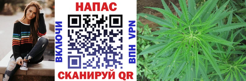 Канабис Amnesia  Каменногорск 